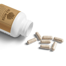 Load image into Gallery viewer, 🌊 Sea Moss Supplement
