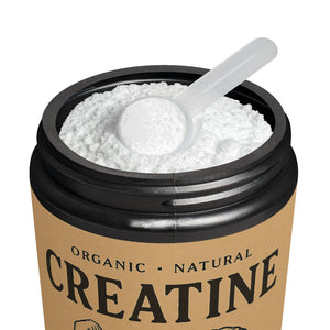 💪 Creatine Monohydrate Supplement