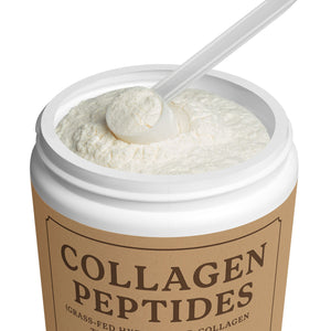 💧 Collagen Peptides Type I & III Supplement