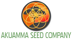 Akuamma Seed Company