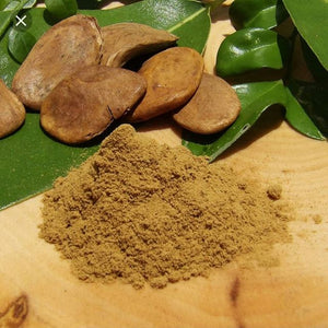 Akuamma seed powder extract 20-1 ratio ( Picralima nitida )
